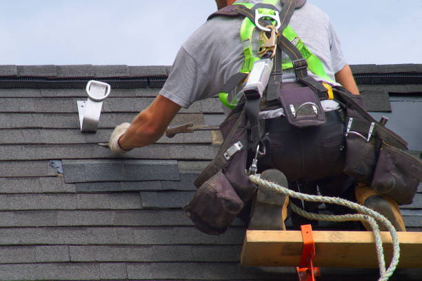 Best Roof Gutter Cleaning  in Ladoga, IN