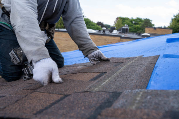 Best New Roof Installation  in Ladoga, IN