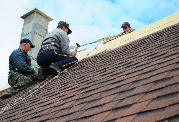 Best Flat Roof Repair Services  in Ladoga, IN