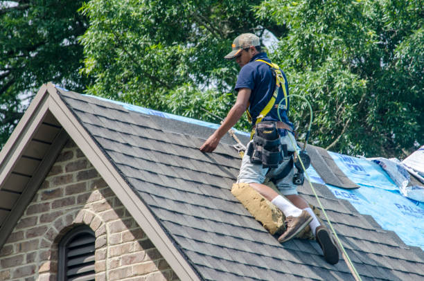 Best Metal Roofing Contractor  in Ladoga, IN