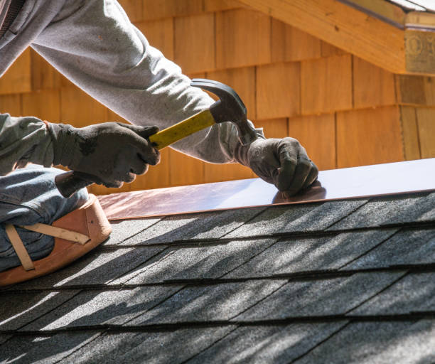 Best Roof Repair Services  in Ladoga, IN